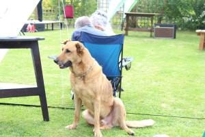 34625186_220240165451187_7147818602752638976_n