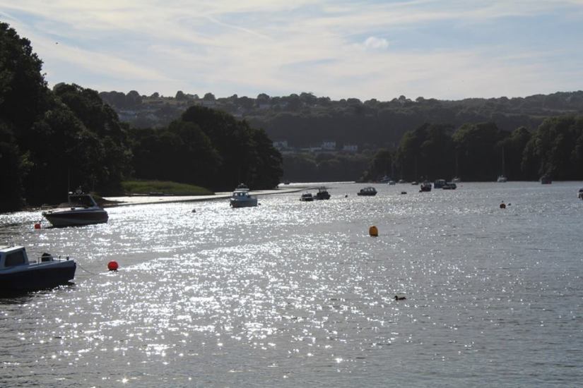 36222753_2044078785604720_3124197762736848896_n