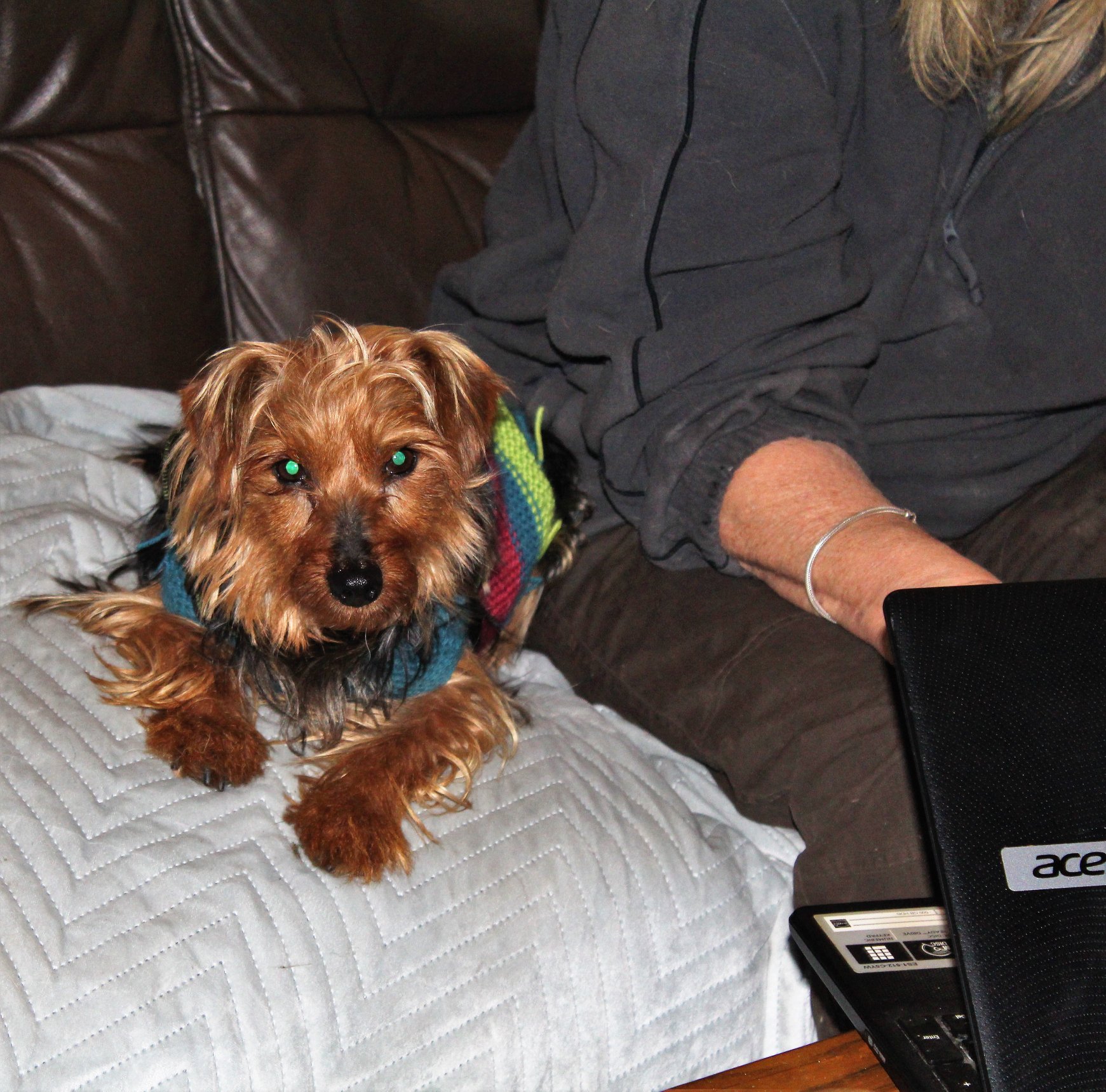 49116919_2335982253081037_2023479356524855296_o(1)